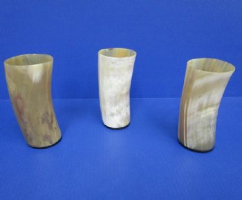 6 inches tall Cattle Horn Cups (12 ounce) <font color=red>Wholesale</font>  - 10 @ $10.00 each; 20 @ $9.00 each