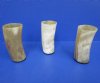6 inches  Polished Water Buffalo Horn Drinking Glasses, Horn Cups with a Marble Appearance - Pack of 4 @ $12.00 each;  Pack of 8 @ $10.00 each; 