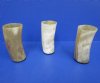 6 inches tall <font color=red>Wholesale</font> Water Buffalo Horn Drinking Glasses, Cups for Sale in Bulk - Case of 10 @ $10.00 each; Case of 20 @ $9.00 each