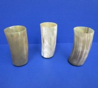 6 inches tall Cattle Horn Cups (12 ounce) <font color=red>Wholesale</font>  - 10 @ $10.00 each; 20 @ $9.00 each