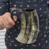 6 inches Polished Horn Beer Mug (15 to 16 ounces) - $27 each; 2 @ $25.50 each