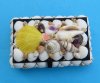4-1/2  by 2-3/4 inches Rectangle Seashell Box Hand Crafted with Pretty Natural Shells and Lined with Black Felt - $6.99 each