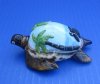 3-3/4 inches Painted Tiger Cowry Turtle Novelty with Palm Trees and Baby Turtle- Pack of 2 @ $3.40 each
