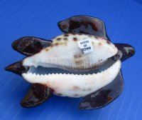 3-3/4 inches Painted Blue Tiger Cowry Turtle Novelty with Palm Trees and Baby Turtle- 10 @ $3.20 each