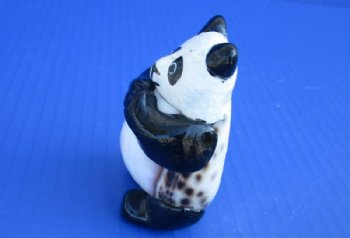 3 inches Tiger Cowry Shell Panda Bear Novelty - 12 @ $3.90 each