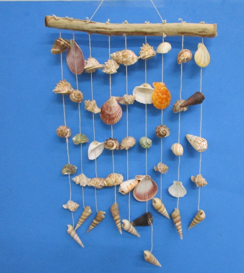 15 inches Driftwood with Seashells Wall Hanging
