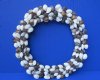 10 to 11 inches Brown and White Cockle Shell Wreath  - $10.50 each