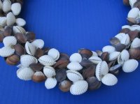 10 to 11 inches Brown and White Cockle Shell Wreath  - $10.50 each