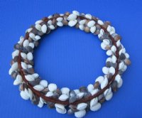 10 to 11 inches Brown and White Cockle Shell Wreath  - $10.50 each