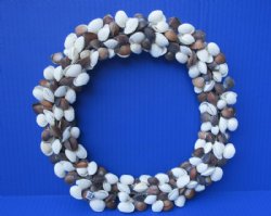 10 to 11 inches Brown and White Cockle Shell Wreath  - $10.50 each