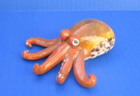3-1/2 inches Painted Tiger Cowrie Octopus Novelty - 12 @ $4 each