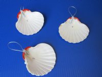 4 inches Great Scallop Shell with Santa Face Seashell Christmas Ornaments - 10 @ $2.40 each