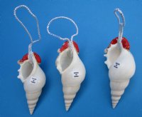 Tibia Shell Santa Ornaments <font color=red> Wholesale</font> 3-1/2 to 4-1/2 inches - 60 @ $1.60 each