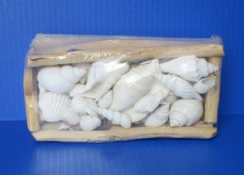 8 by 4 inches Rectangular Driftwood Gift Box filled with Assorted White Seashells-  2 @ $8.00 each