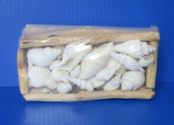 8 by 4 inches  Rectangular Driftwood Gift Box filled with Assorted White Seashells - <font color=red>Bulk Case</font>: 12 @ $6.38 each