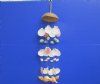 20 inches long Real Coconut with 6 Strands of Seashells Windchime - Pack of 2 @  $4.99 each; Pack of 10 @ $3.00 each