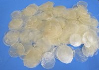 2 to 3-1/2 inches Bulk Rough Cut Capiz Shells with jagged edges - $6.00 a kilo; 3 kilos @ $5.40 a kilo 
