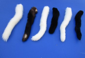 Authentic Female Mink Tail for Sale - <font color=red>2 @ $7.00 each</font>  (Plus $6.50 1st Class Mail)