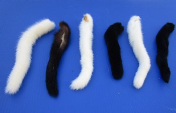 Authentic Female Mink Tail for Sale - <font color=red>2 @ $7.00 each</font>  (Plus $6.50 1st Class Mail)