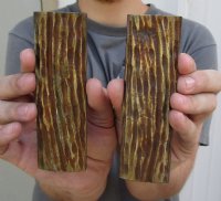 Horn Knife Scales