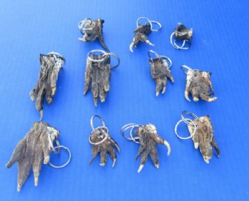 Genuine Alligator Foot Keychain (1.5"-3.50")- 10 @ $3.90 each 