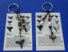 <font color=red>Wholesale</font> Fossil Shark Tooth Key Chains with Assorted Styles of Colored Beads - Case of 48 @ $1.95 each