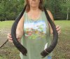 20 to 24 inches Wholesale Matching Pairs of Kudu Horns - Case of 2 pairs @ $70.00 a pair