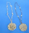 36 inches Nassarius Shells with 3 inches Round Cowrie Shell Pendant Seashell Leis Necklaces Wholesale  - Pack of 1 dz @ $12.60 dz( $1.05 ea); Wholesale Pack of 9 dz @ $11.58 dz (.97 ea)