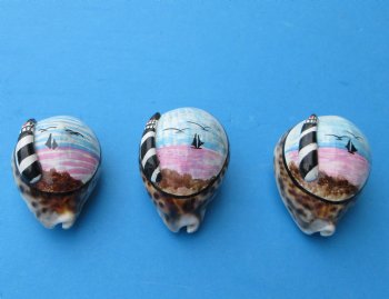 Painted Tiger Cowrie Shell Magnets with 3d Lighthouse 3 inches - 10 @ $2.40 each