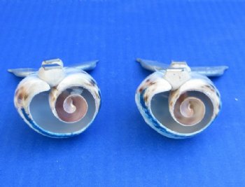 Hand Painted Tiger Cowrie Shell Whale's Tail Magnets  - 10 @ $2.30 each