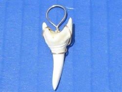 1-1/4 inches Modern Day Mako Shark Tooth Pendant, <font color=red> 5 @ $5.60 each </font> (Plus $5.50 Ground Advantage Mail