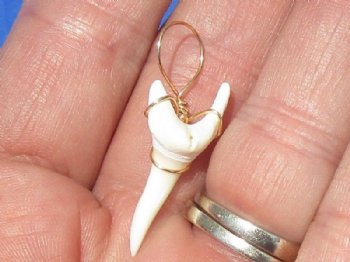 1-1/4 inches Modern Day Mako Shark Tooth Pendant, <font color=red> 5 @ $5.60 each </font> (Plus $5.50 Ground Advantage Mail