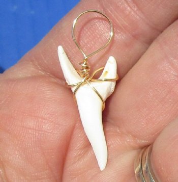 1-1/2 inches Modern Day Shortfin Mako Shark Tooth Pendant, <font color=red> 2 @ $10.40 each </font> (Plus $5.20 Postage)