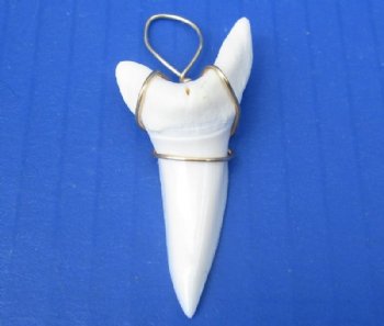 2-1/8 inches Modern Day Extra Large Shortfin Mako Shark Tooth Pendant, <font color=red>$43.99 each</font> ( Plua $5.00 Ground Advantage Mail)