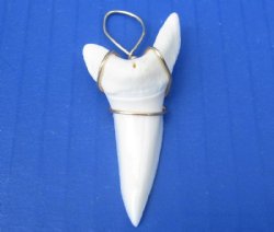 2-1/8 inches Modern Day Extra Large Shortfin Mako Shark Tooth Pendant, <font color=red>$43.99 each</font> ( Plua $5.00 Ground Advantage Mail)