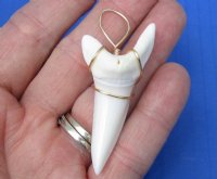2-1/8 inches Authentic Extra Large Mako Shark Tooth Pendant from a Modern Day Shortfin Mako, (Tarnish-Resistant, Lead  and Nickel Free Wire) - Pack of 1 @ <font color=red>$44.99 each</font> Plus $5.00 1st Class Mail