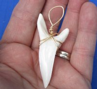 2-1/8 inches Authentic Extra Large Mako Shark Tooth Pendant from a Modern Day Shortfin Mako, (Tarnish-Resistant, Lead  and Nickel Free Wire) - Pack of 1 @ <font color=red>$44.99 each</font> Plus $5.00 1st Class Mail