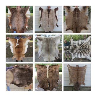 Tanned Animal Hides, Furs, Novelties - Buy 1 or Wholesale Lots
