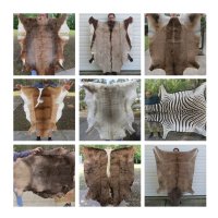 Animal Hides, Skins, Fur Novelties