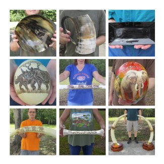 Natural Animal Decor and Gifts