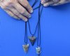 Wholesale Fossil Mako Megalodon Shark Teeth Necklaces in Bulk with 1 to 2 inches Fossil Mako Tooth - Pack of 8 @ $12.50 each