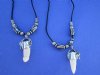 20 inches Real Alligator Tooth Necklace with Blue, Brown and White Beads and a 3/4 to 1-1/2 inches Gator Tooth - Pack of 2 @ <font color=red> $8.50 each</font> (Plus $5.00 First Class Mail) 