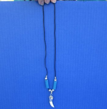 Genuine Alligator Tooth Necklace with Blue Tube Beads  <font color=red> Wholesale</font> and 3/4 to 1-1/2 inches Gator Tooth - 24 @ $4.50 each