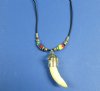 20 inches Real Alligator Tooth Necklace for Sale with 3/4 to 1-1/2 inches Gator Tooth and Multi Colored Beads - Pack of 2 @ <font color=red> $8.50 each</font> (Plus $5.00 First Class Mail)