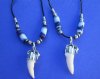  Alligator Tooth Necklace with Purple, Blue and White Beads 20 inches -  <font color=red>$9.99 each</font> Plus $5.00 1st Class Mail 