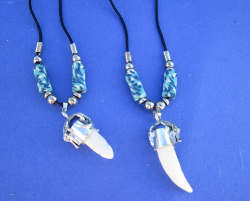 20 inches Authentic Alligator Tooth Necklace with 3/4 to 11/2 inches Tooth