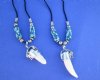 20 inches Authentic Alligator Tooth Necklace with 3/4 to 1-1/2 inches Alligator Tooth with aqua, blue, white abstract design beads - Pack of 2 @ <font color=red> $8.50 each</font> (Plus $7.00 First Class Mail)