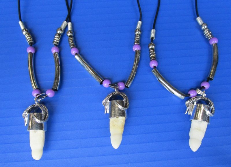 Authentic Alligator Tooth Necklace 