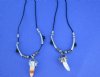 Two Real Alligator Tooth Necklace with Silver and Black Beads 20 inches - $6.50 each (Plus $5 postage)