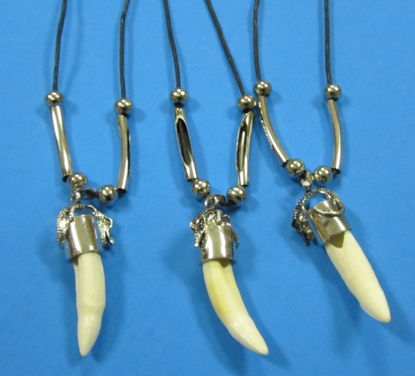 20 inches Genuine Alligator Tooth Necklace with Decorative Silver Tube